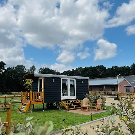 Magnolia Hoeve - Unieke Bestemming Voor Paardenliefhebbers En Bijzondere Overnachtingen In De Natuur Ledeacker Exterior photo