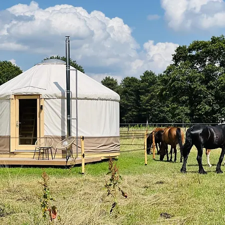 Magnolia Hoeve - Unieke Bestemming Voor Paardenliefhebbers En Bijzondere Overnachtingen In De Natuur Ledeacker Exterior photo