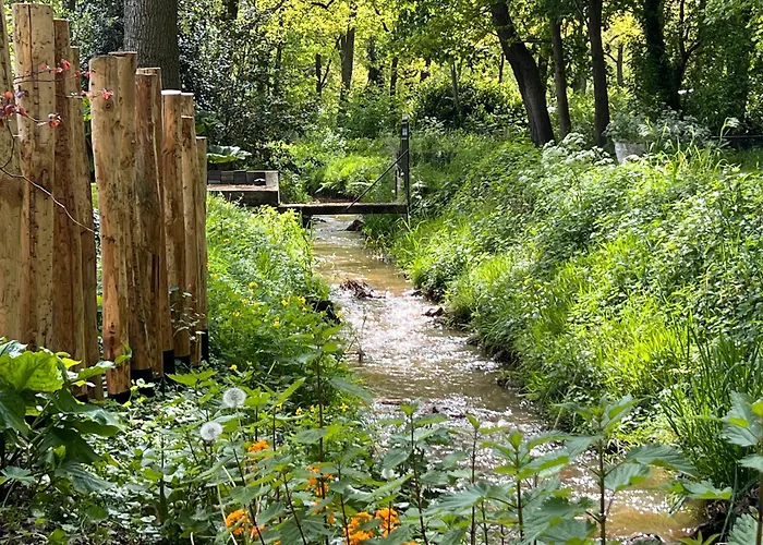 Magnolia Hoeve - Unieke Bestemming Voor Paardenliefhebbers En Bijzondere Overnachtingen In De Natuur