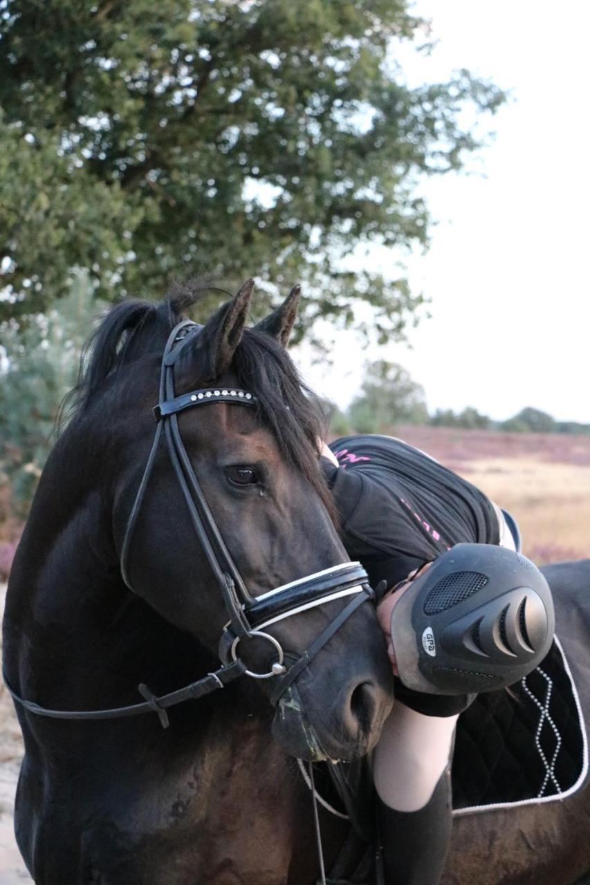 Magnolia Hoeve - Unieke Bestemming Voor Paardenliefhebbers En Bijzondere Overnachtingen In De Camping Ledeacker