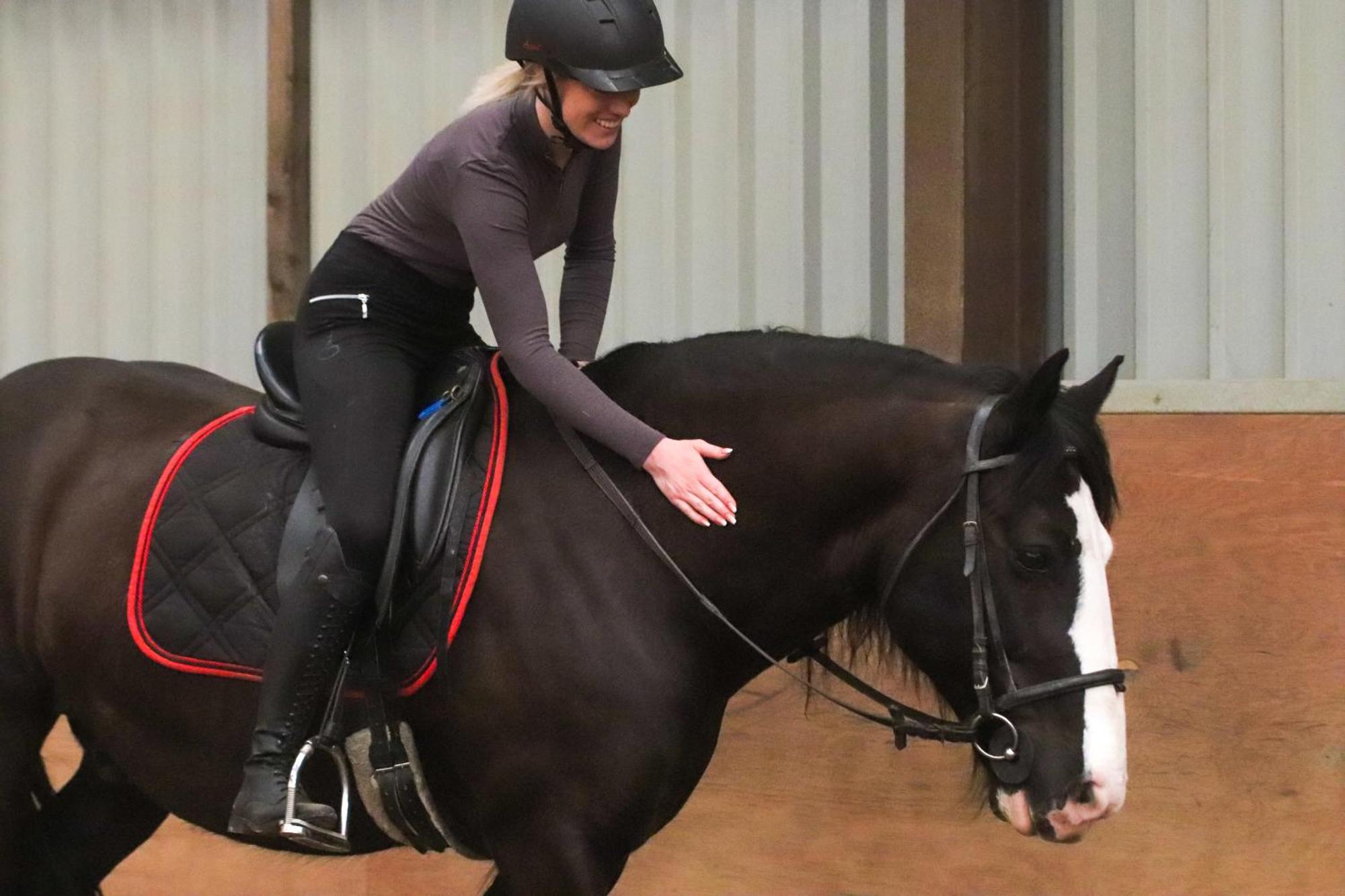 Camping Magnolia Hoeve - Unieke Bestemming Voor Paardenliefhebbers En Bijzondere Overnachtingen In De *