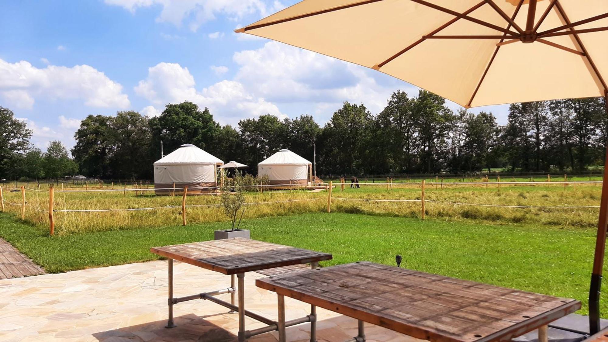 Magnolia Hoeve - Unieke Bestemming Voor Paardenliefhebbers En Bijzondere Overnachtingen In De Ledeacker