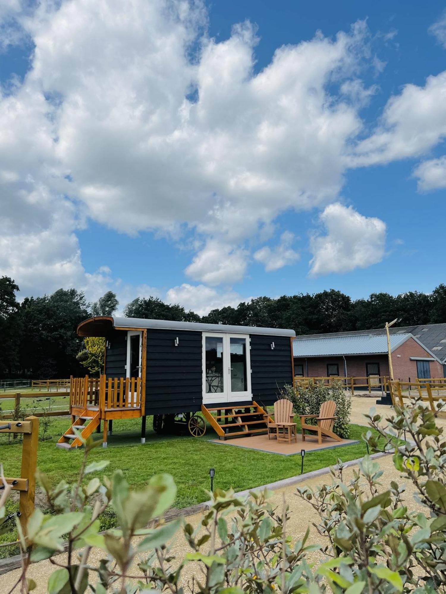 Magnolia Hoeve - Unieke Bestemming Voor Paardenliefhebbers En Bijzondere Overnachtingen In De Ledeacker