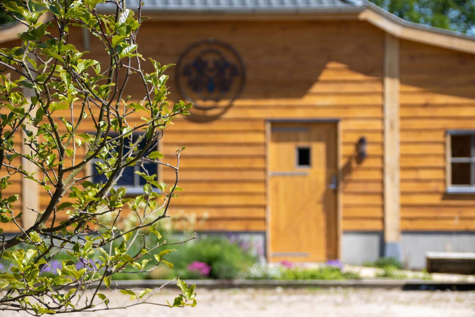 Magnolia Hoeve - Unieke Bestemming Voor Paardenliefhebbers En Bijzondere Overnachtingen In De Camping