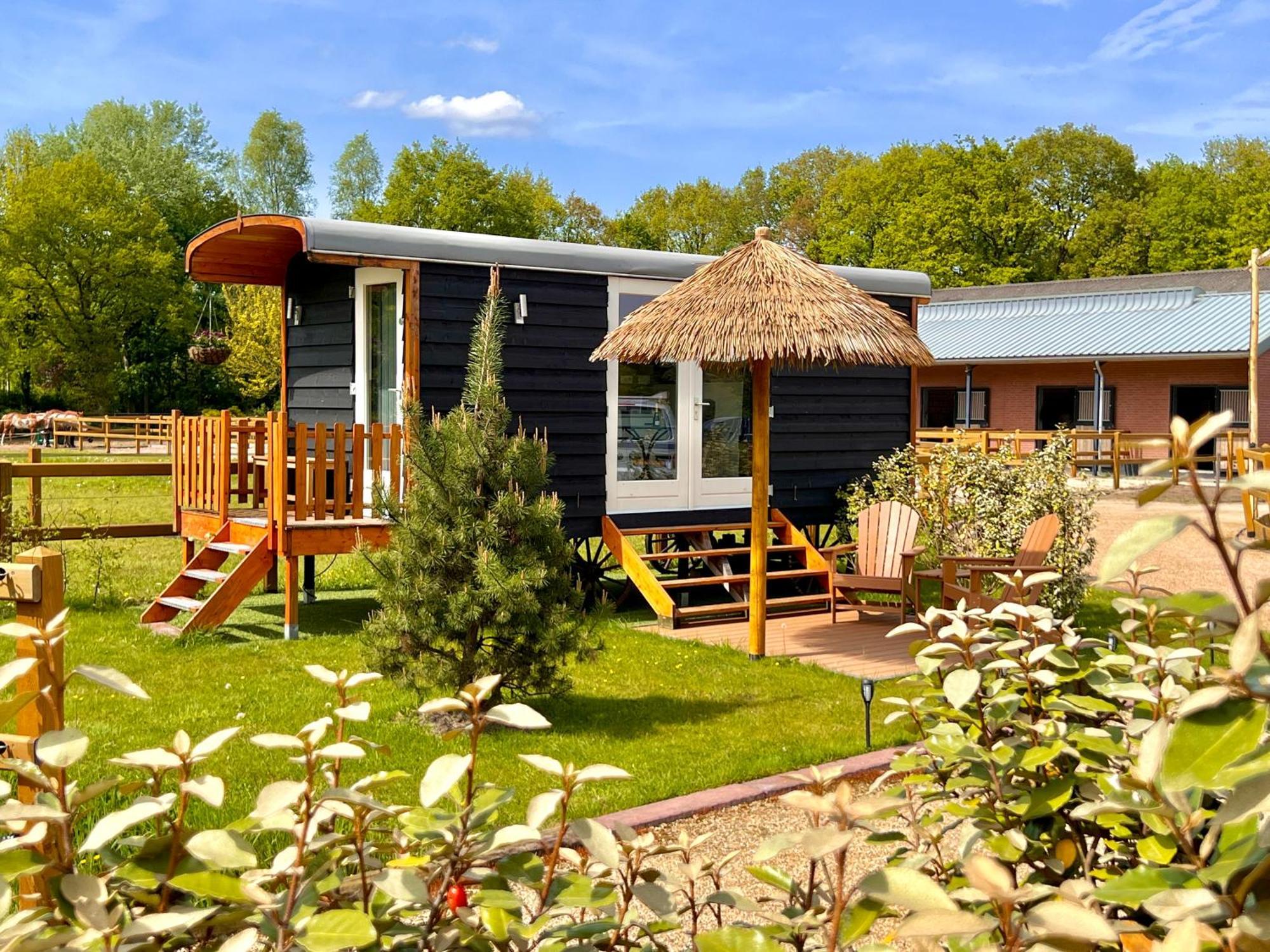 Camping Magnolia Hoeve - Unieke Bestemming Voor Paardenliefhebbers En Bijzondere Overnachtingen In De Ledeacker