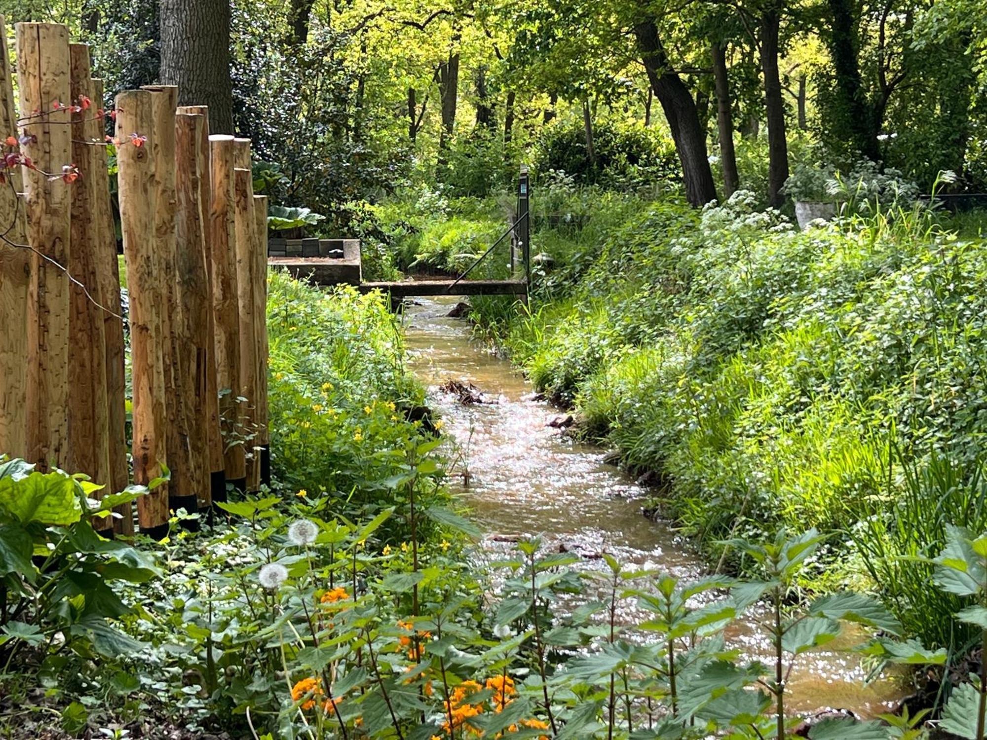 Magnolia Hoeve - Unieke Bestemming Voor Paardenliefhebbers En Bijzondere Overnachtingen In De Ledeacker
